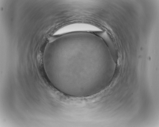 X0000087750029200705211048