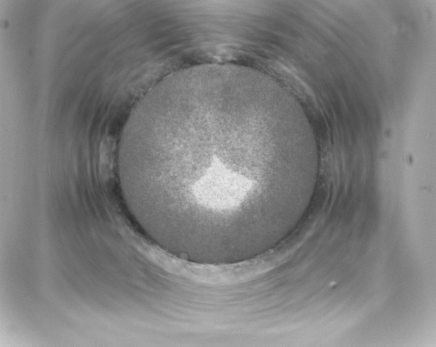 X0000087750030200705211048