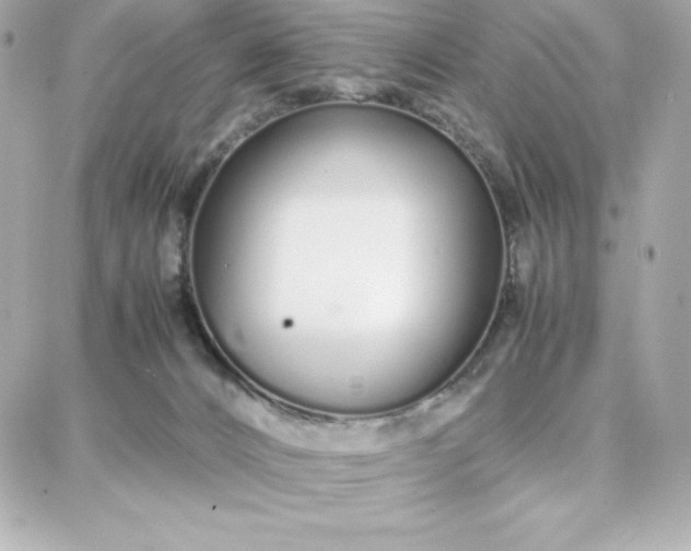 X0000087750032200705211048