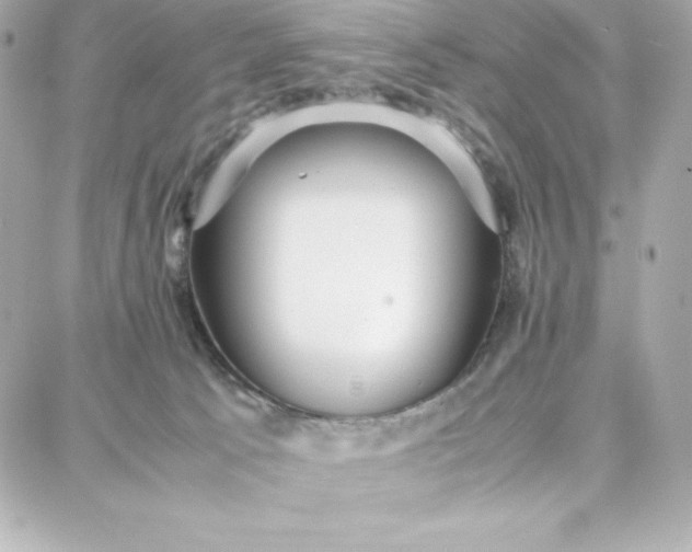 X0000087750033200705211048