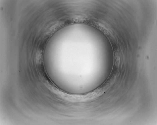 X0000087750034200705211048