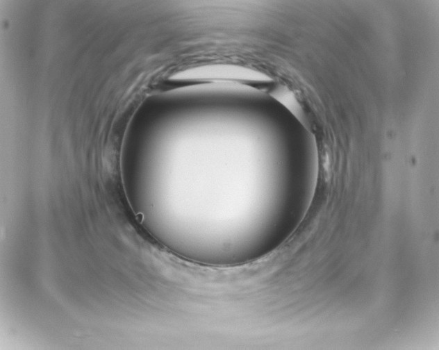 X0000087750035200705211048