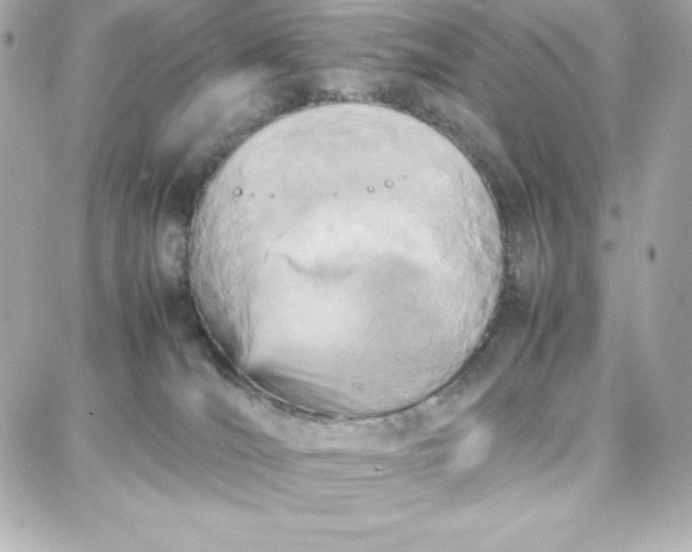 X0000087750036200705211048