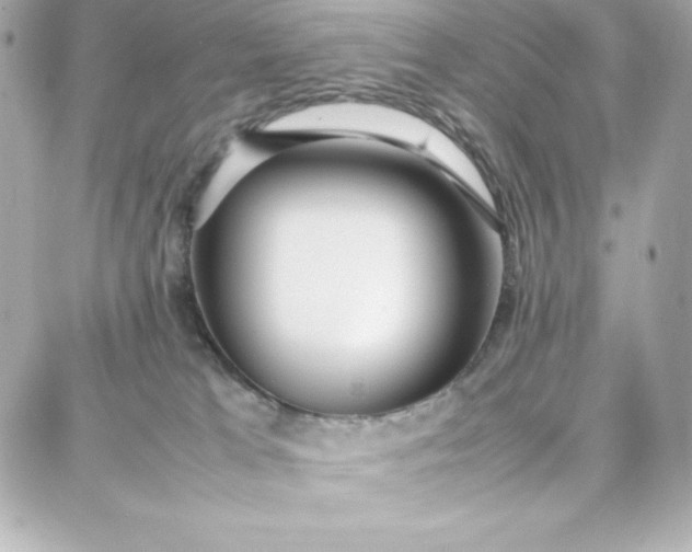 X0000087750037200705211048