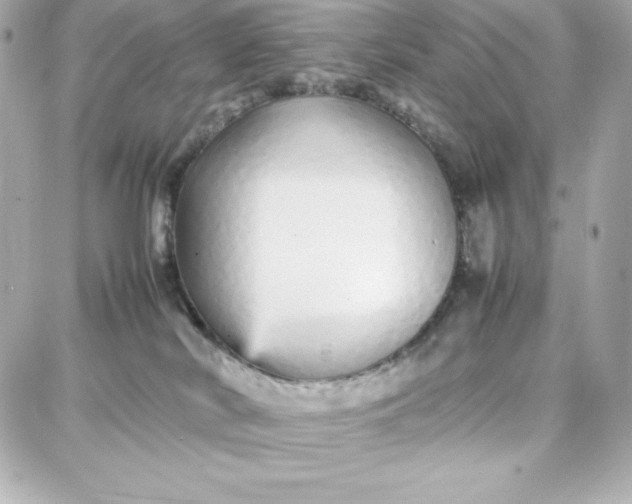 X0000087750038200705211048