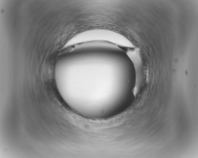 X0000087750039200705211048