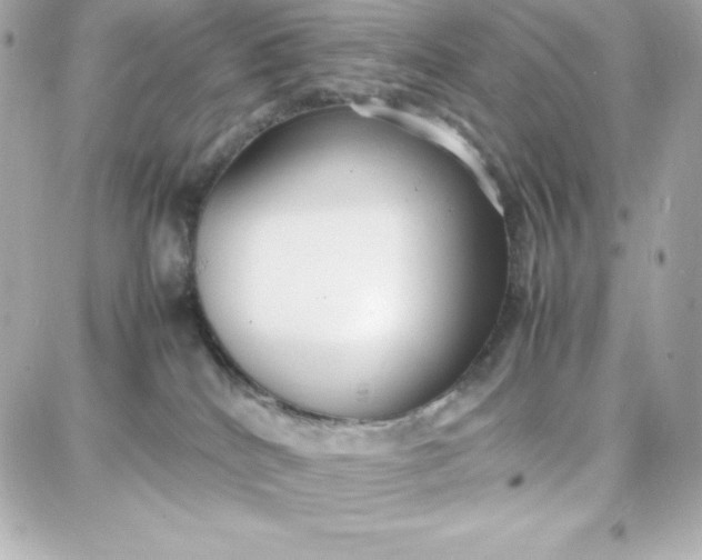 X0000087750040200705211048