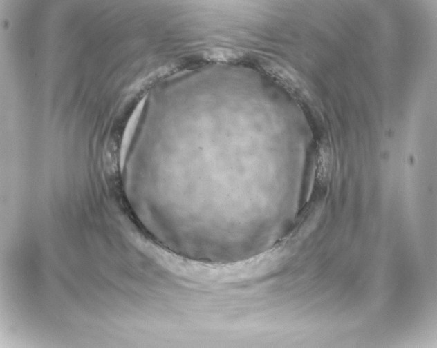 X0000087750043200705211048