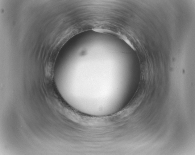 X0000087750044200705211048