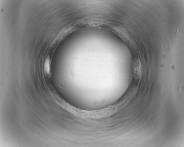 X0000087750046200705211048