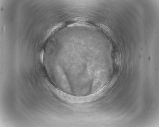 X0000087750047200705211048