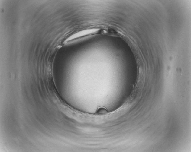 X0000087750048200705211048