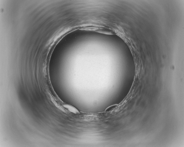 X0000087750050200705211047