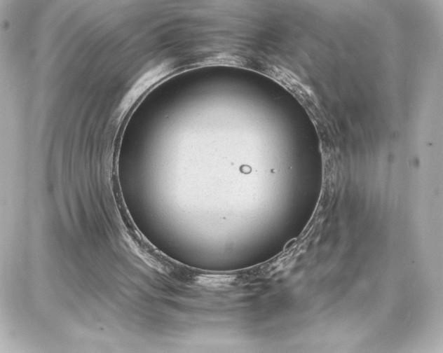 X0000087750051200705211047