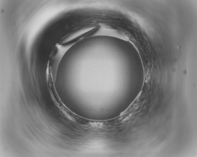 X0000087750052200705211047