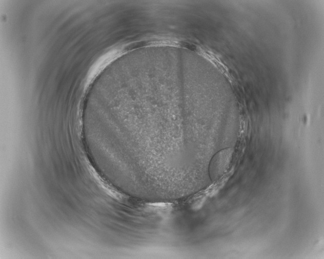 X0000087750053200705211047