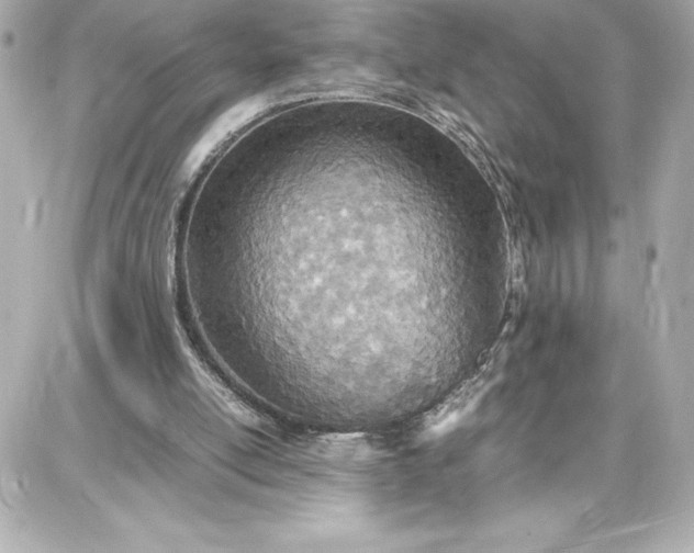 X0000087750054200705211047