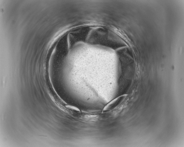 X0000087750055200705211047