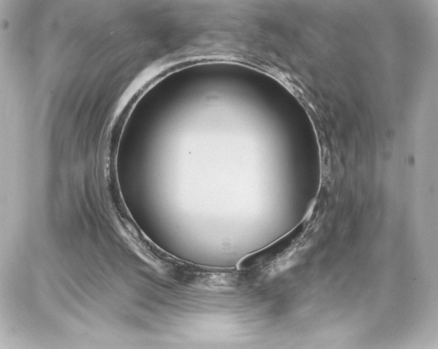 X0000087750056200705211047