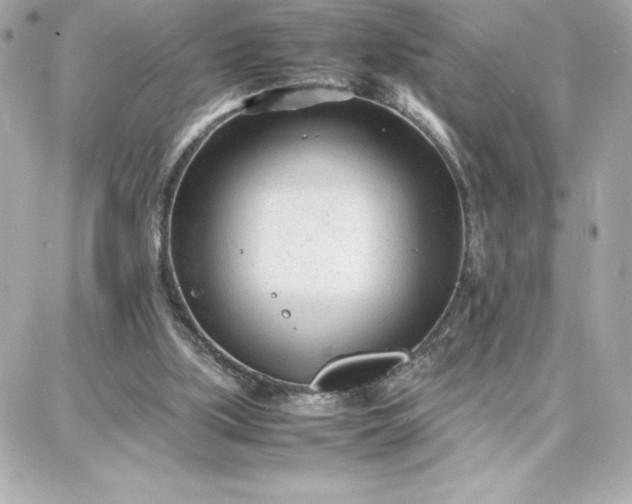 X0000087750059200705211047