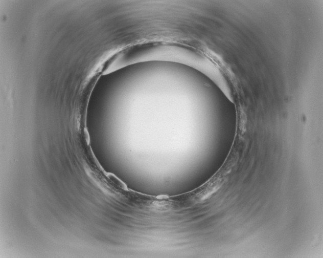 X0000087750060200705211047