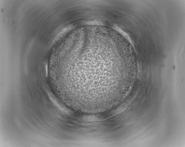 X0000087750061200705211047