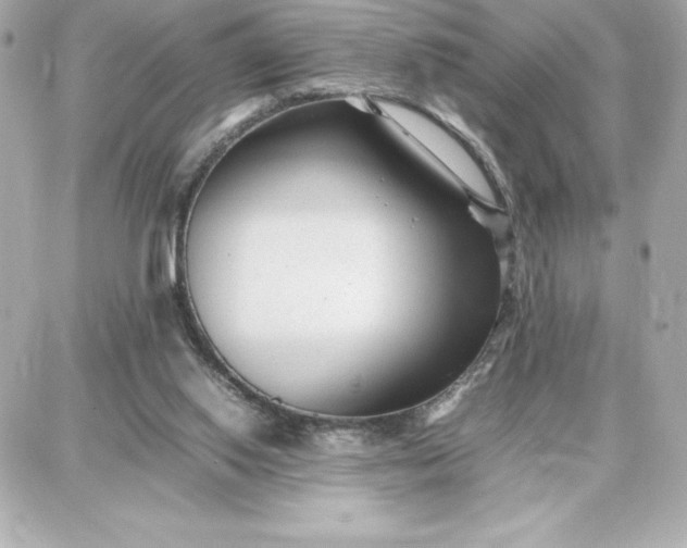 X0000087750062200705211047