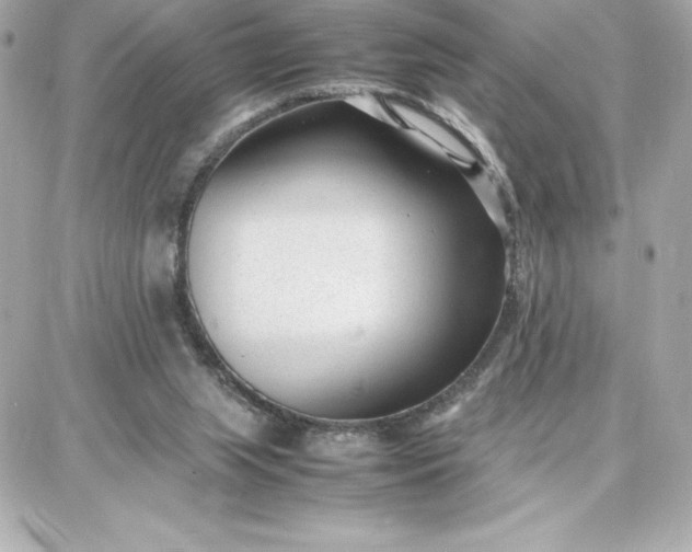 X0000087750063200705211047