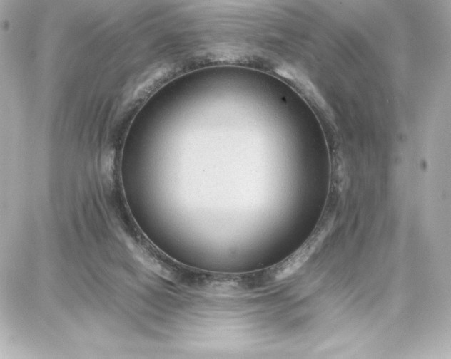 X0000087750066200705211047