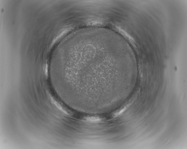 X0000087750067200705211047