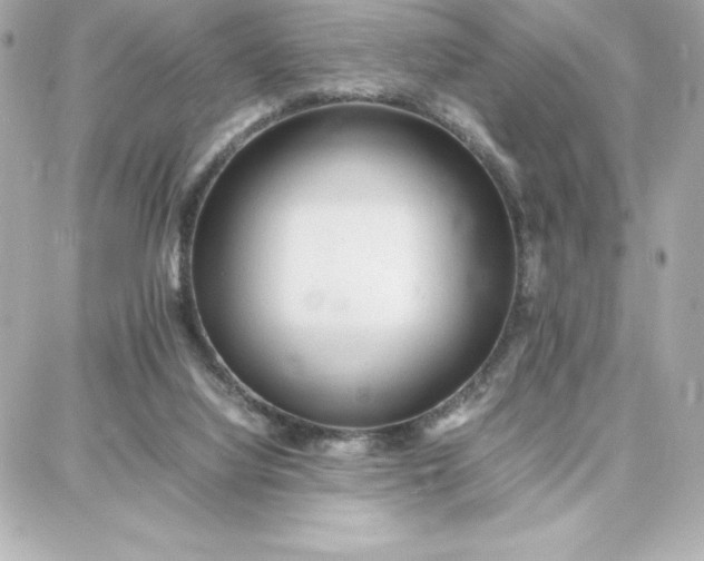 X0000087750068200705211047