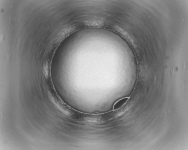 X0000087750069200705211047