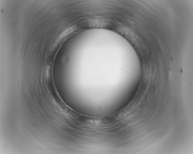 X0000087750071200705211048