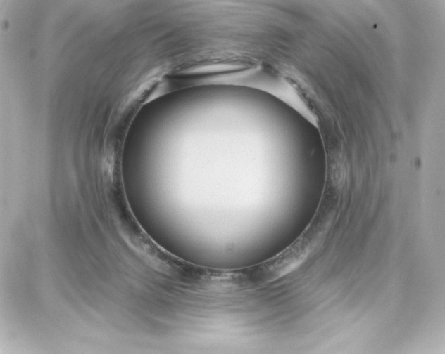 X0000087750072200705211048