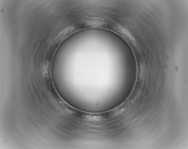 X0000087750073200705211048