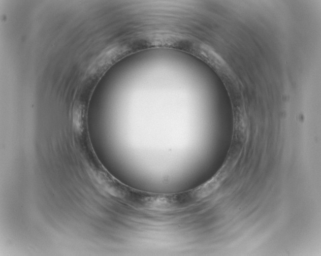 X0000087750074200705211048