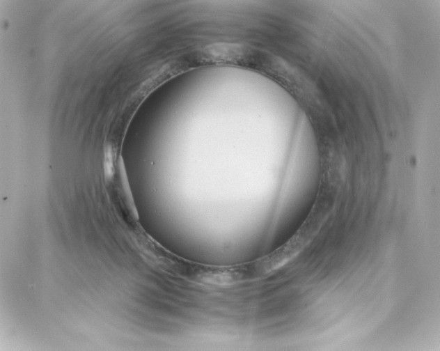 X0000087750075200705211048