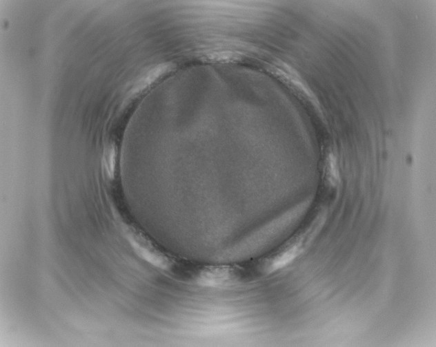 X0000087750076200705211048