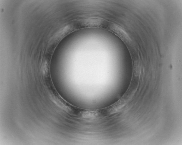 X0000087750077200705211048