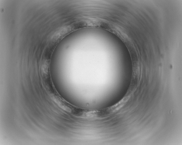 X0000087750078200705211048