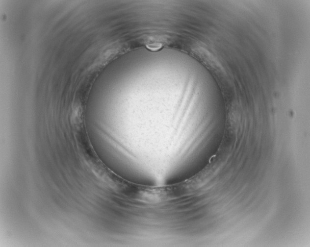 X0000087750079200705211048