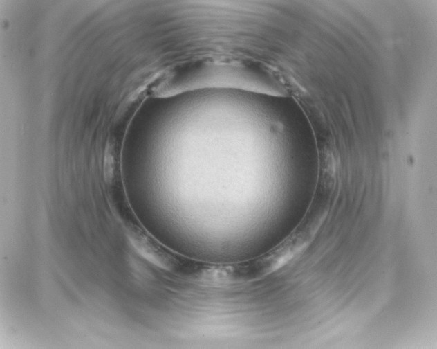 X0000087750080200705211048