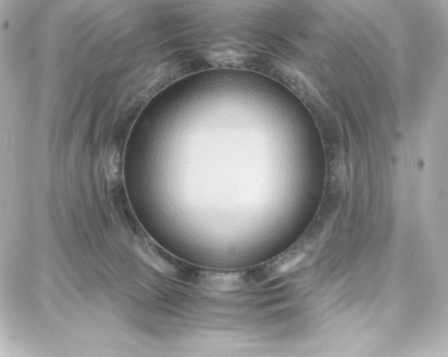 X0000087750081200705211048