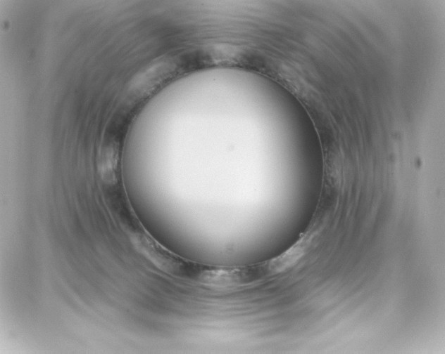 X0000087750082200705211048