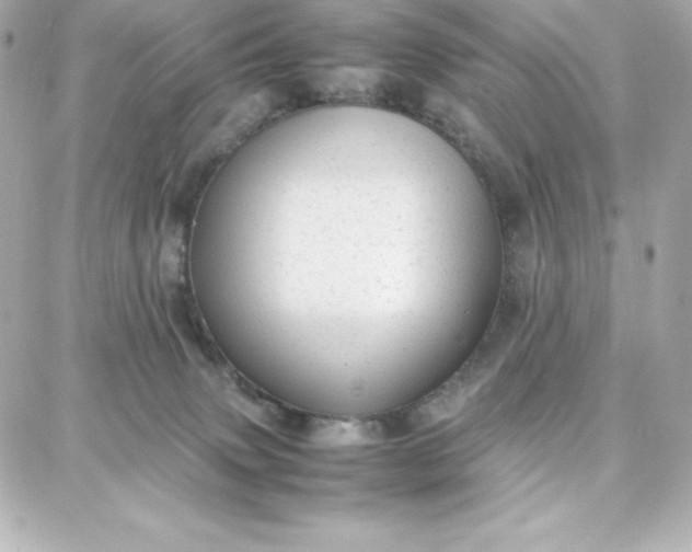 X0000087750083200705211048