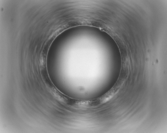 X0000087750084200705211048