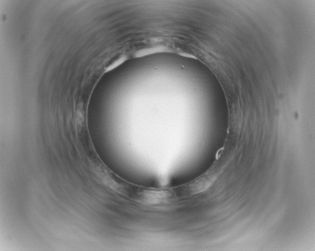 X0000087750085200705211048