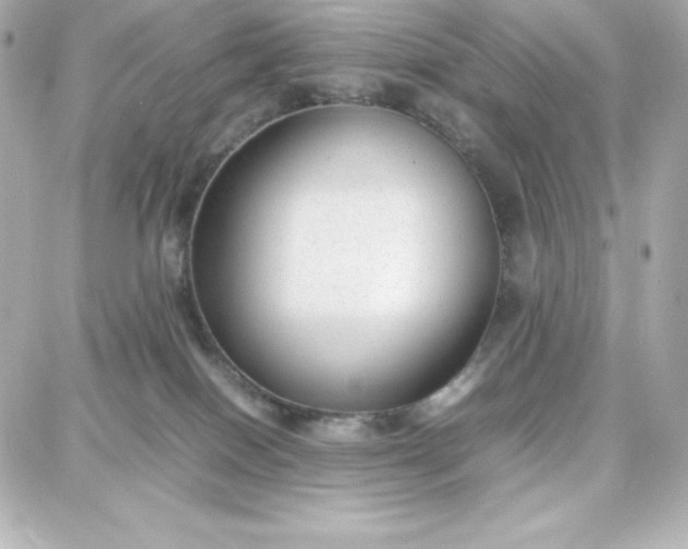 X0000087750086200705211048