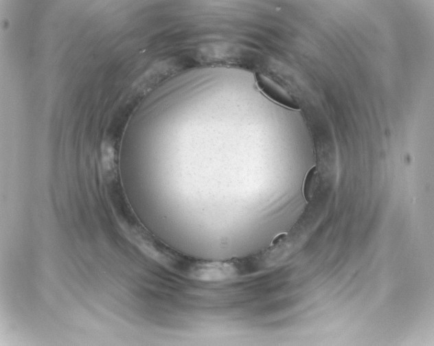 X0000087750087200705211048