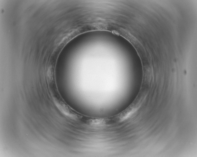 X0000087750088200705211048